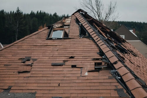 Wind Damage